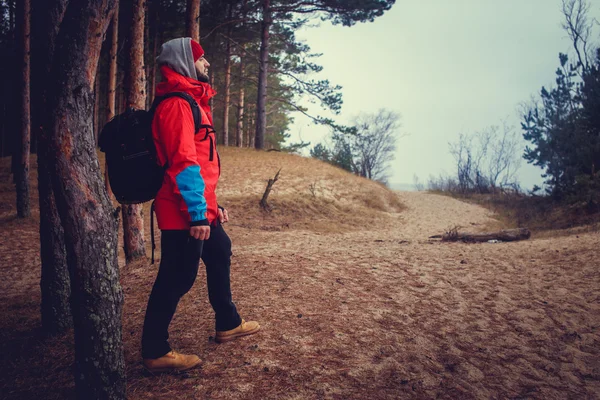 Caminhante descansando na floresta — Fotografia de Stock