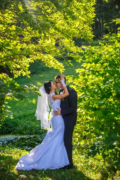 Nygifta kysser i en park — Stockfoto