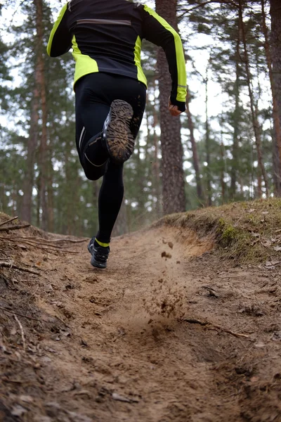 Hombre deportivo en el bosque — Foto de Stock