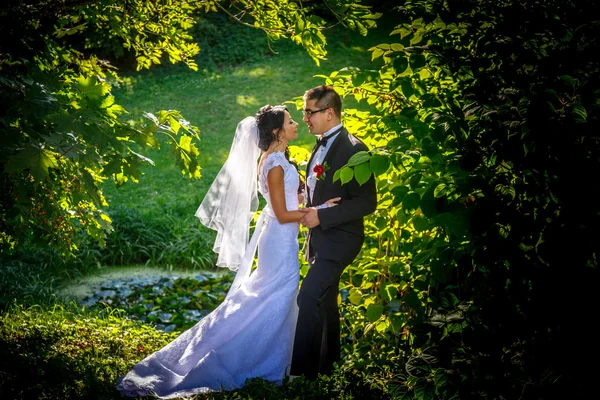 Recém-casados abraçando em um parque — Fotografia de Stock