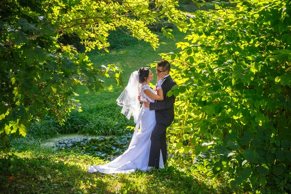 Recém-casados abraçando em um parque — Fotografia de Stock