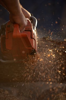 Elektrikli testereyle ağaç kesen adam.