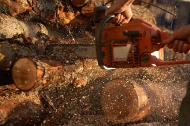 Elektrikli testereyle ağaç kesen adam.