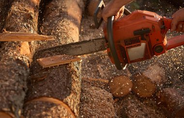 Elektrikli testereyle ağaç kesen adam.
