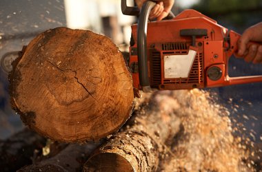 Elektrikli testereyle ağaç kesen adam.