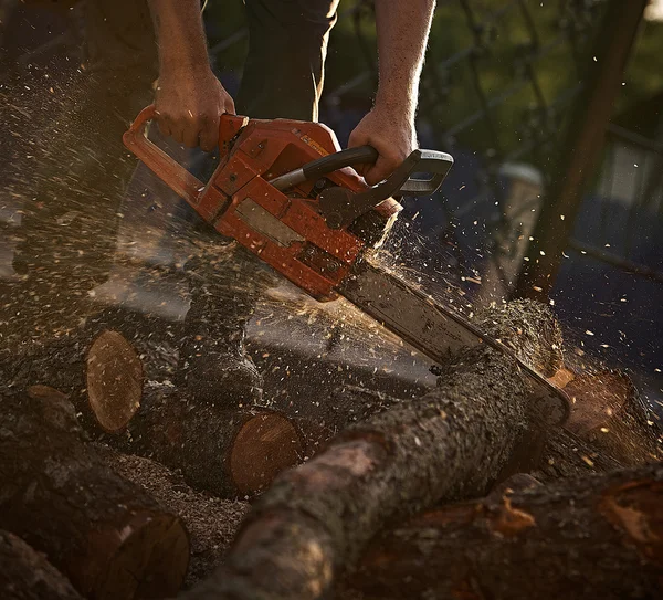 Человек режет дерево бензопилой — стоковое фото