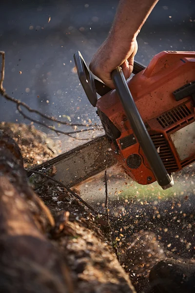 Hombre cortando árbol con motosierra — Foto de Stock