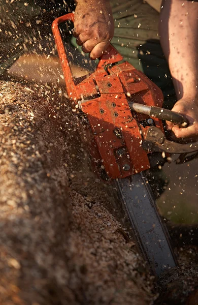 チェーンソーで木を切る男 — ストック写真