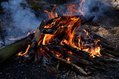 bir odun ateşi yakın çekim