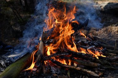 bir odun ateşi yakın çekim