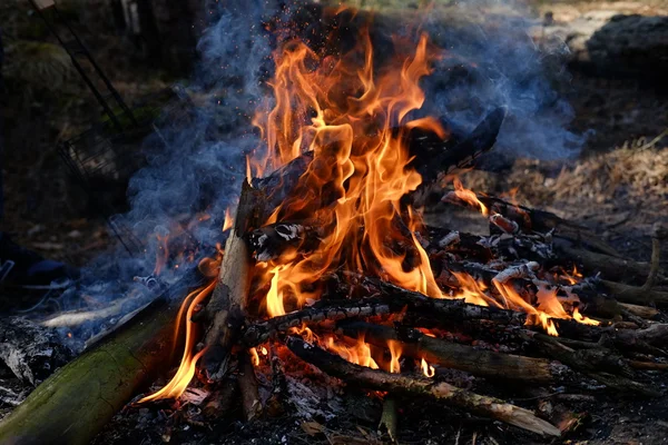 bir odun ateşi yakın çekim