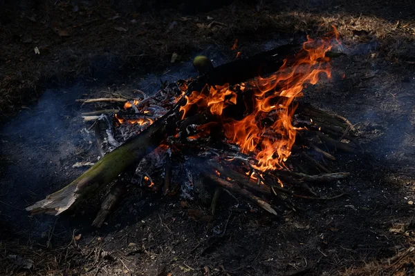 bir odun ateşi yakın çekim