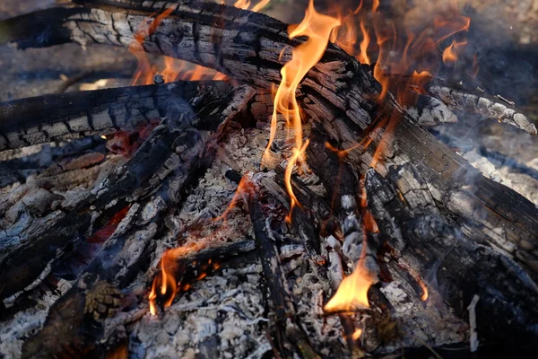 Крупним планом вогонь у дереві — стокове фото