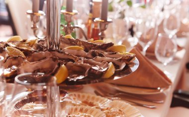 tablo üzerinde çikolata kurabiye