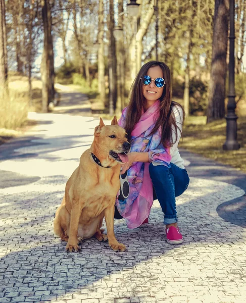 Morena mujer con marrón perro —  Fotos de Stock