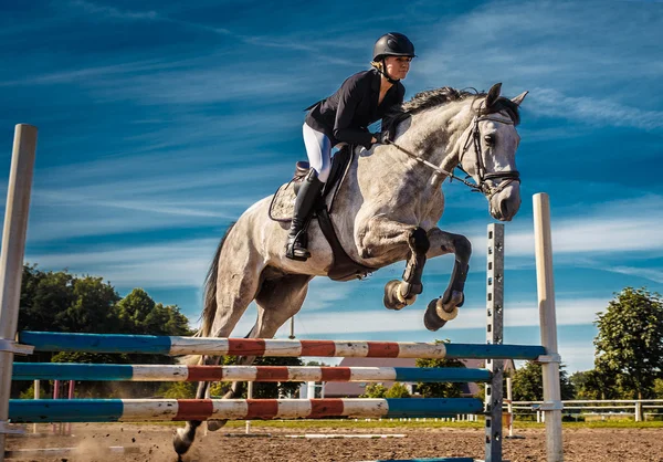 Cavallo cavaliere in azione — Foto Stock