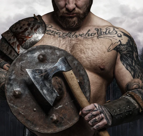viking kalkanın ve balta ile erkek