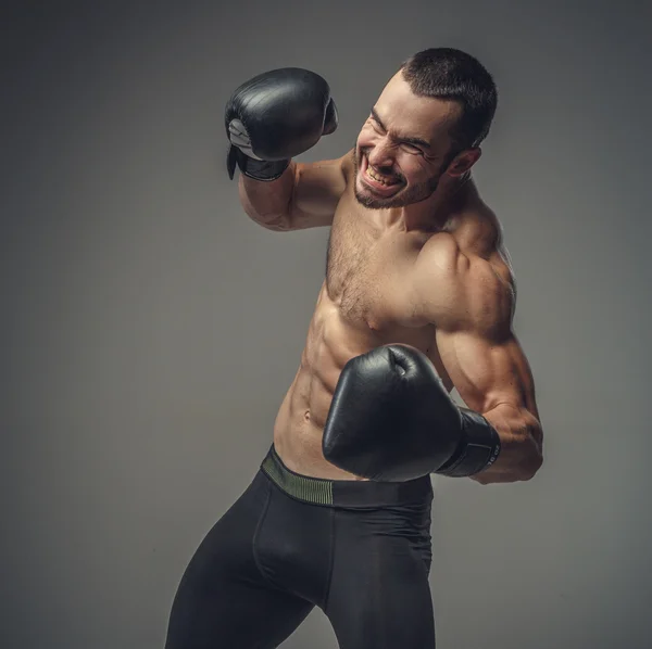 Combatiente masculino en guantes de boxeo —  Fotos de Stock