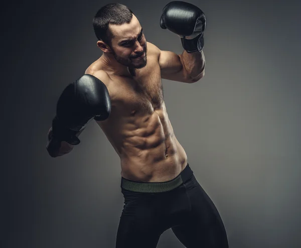 Lutador masculino em luvas de boxe — Fotografia de Stock