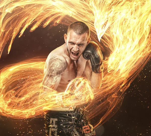 Fighter with phoenix fire bird — Stock Photo, Image