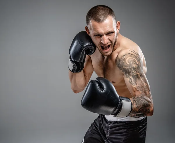 Lutador tatuado agressivo — Fotografia de Stock