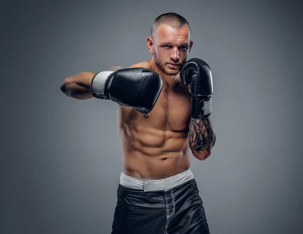 Lutador de boxe sem camisa — Fotografia de Stock