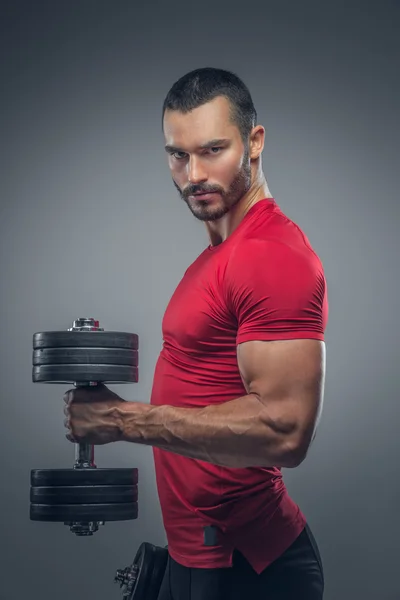 Muscular male holds dumbbells — Stock Photo, Image