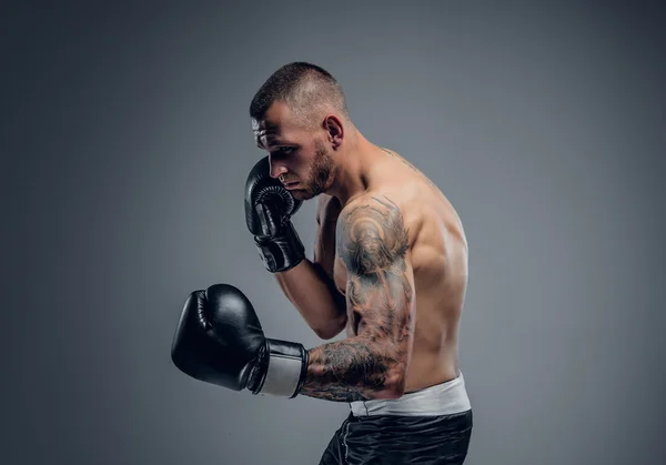 Shirtless boxing fighter — Stock Photo, Image