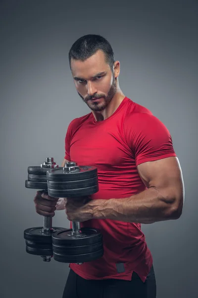 Male in a red t shirt holds dumbbells