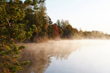 Gündüz vakti buharlı sonbahar ormanlarında nehir