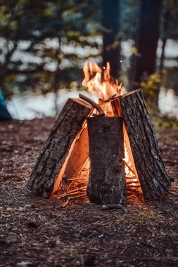Ormanda yanan şenlik ateşinin atmosferik fotoğrafları
