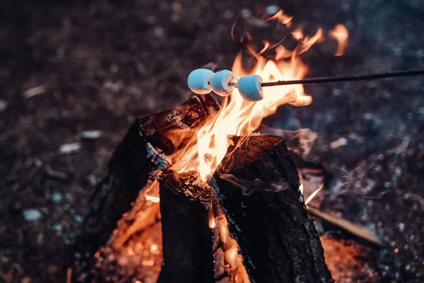 Roasting of marshmallow on stick at the stake in woods — Stock Photo, Image