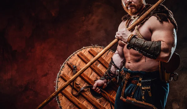 Powerful viking holding shield and spear in dark background — Stock Photo, Image