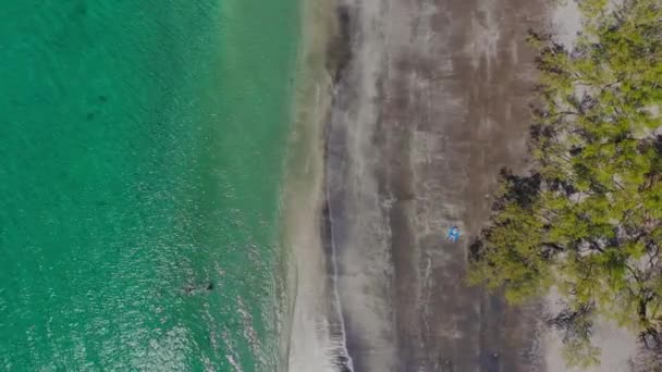 Aerial top view sandy sea beach with green turquoise water with people, swimming — Stock Video