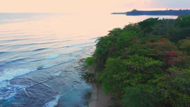 Drone colpo che sale sopra un tropico durante il tramonto ora d'oro in costa rica — Video Stock