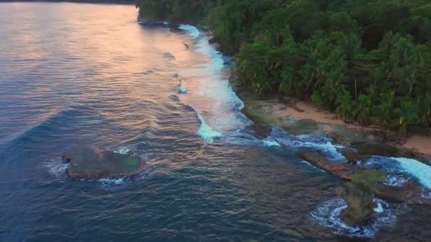 Grandi onde di marea con schiuma e spruzzi schiacciante spiaggia al tramonto rosa, costa rica — Video Stock