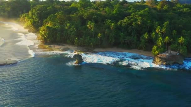 Drone vista di caraibi dorato, azzurro e tropicale spiaggia selvaggia senza persone — Video Stock