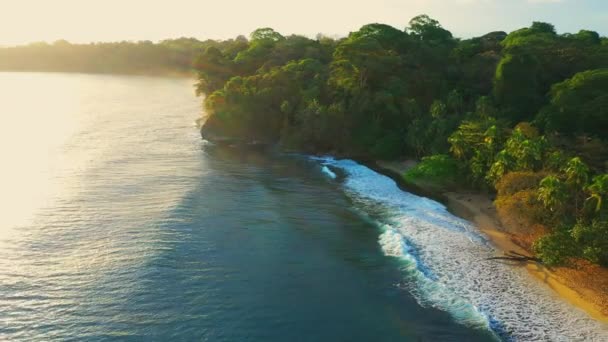 Aerial tilt reveal shot of breaking waves on costa rica jungle coastline — Vídeo de stock