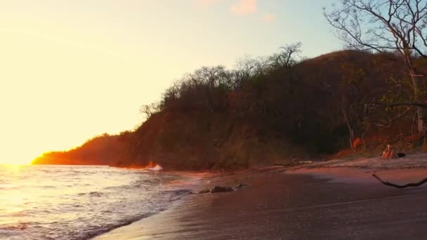 황금빛 파도가 일출시에 열 대 해변의 모래 위로 구르며, 뒤를 배경으로 한다 — 비디오