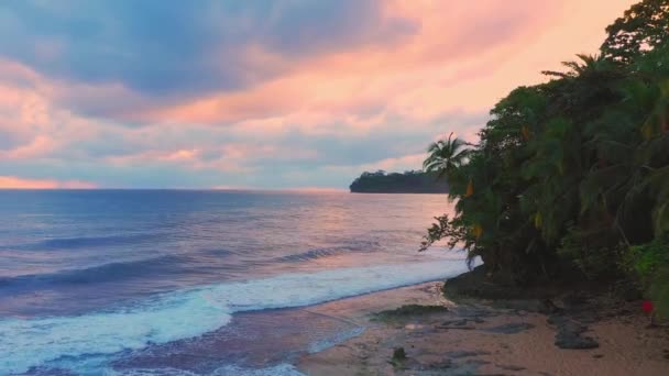 Sonnenaufgang über tropischen Inselstrand und Palme, Costa Rica, rosa Sonnenaufgang — Stockvideo