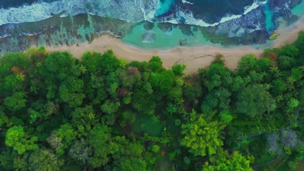 Vista aerea dal mare dei droni caraibici con barriera corallina e onde, destinazione costa rica — Video Stock