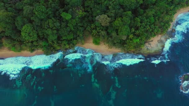 Vista superior de la mosca del dron sobre la costa caribeña del mar, playa paradisíaca en costa rica — Vídeo de stock