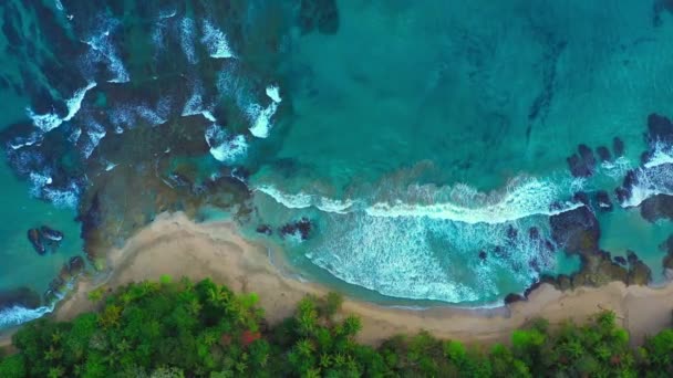 Zoom in, down view from drone, γαλάζιο Καραϊβική θάλασσα, άγρια τροπική παραλία — Αρχείο Βίντεο
