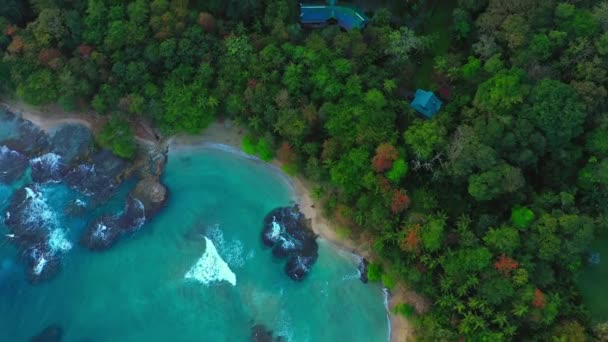 Güzel drone videosu, tropikal Karayip cennet kumsalının sinematik görüntüsü. — Stok video