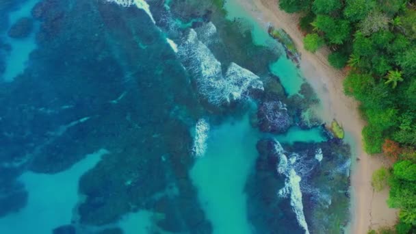 Vista dall'alto del mare vivace caraibico in costa rica sulla costa selvaggia — Video Stock