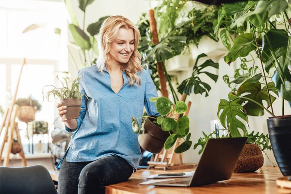 Empregador feminino com plantas de sala e um laptop sentado em uma mesa — Fotografia de Stock