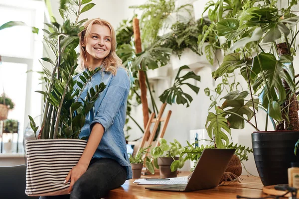 Ecofriendly empresária mobilando seu local de trabalho com planta de sala — Fotografia de Stock