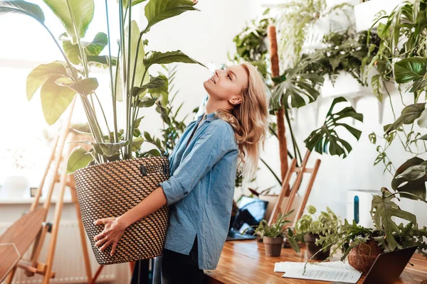 Atractiva freelancer rubia de pelo rubio con planta de interior en oficina —  Fotos de Stock