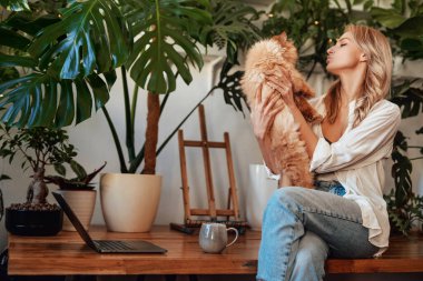 Dost canlısı İranlı kedi ve sarışın kadın oturma odasında.