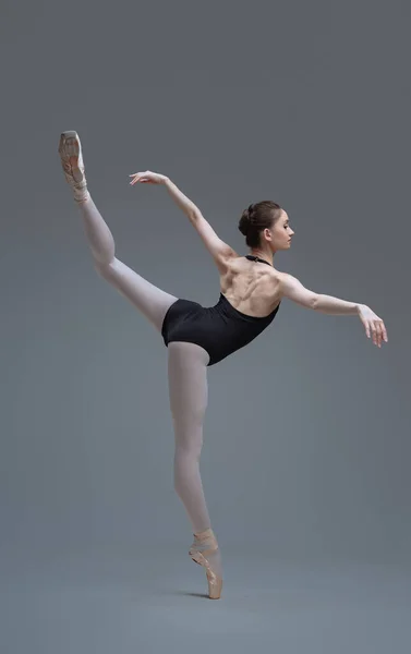 Kecses balerina fél lábbal a stúdióban — Stock Fotó